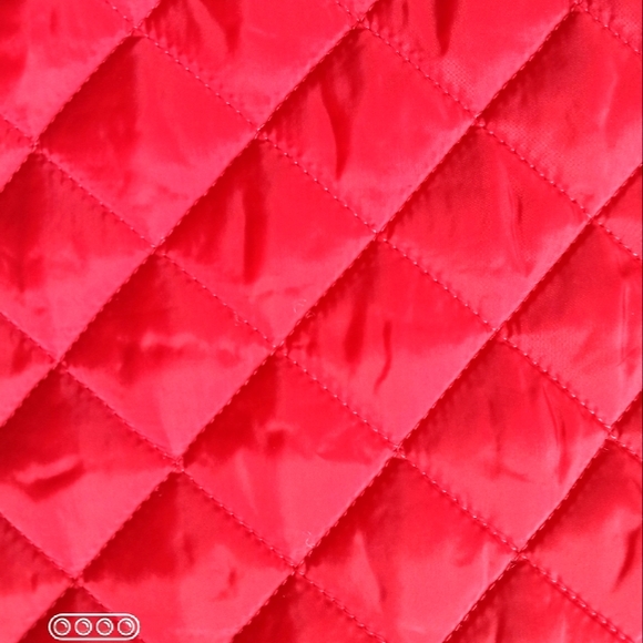 Red Ski Jacket Vest - Picture 15 of 16